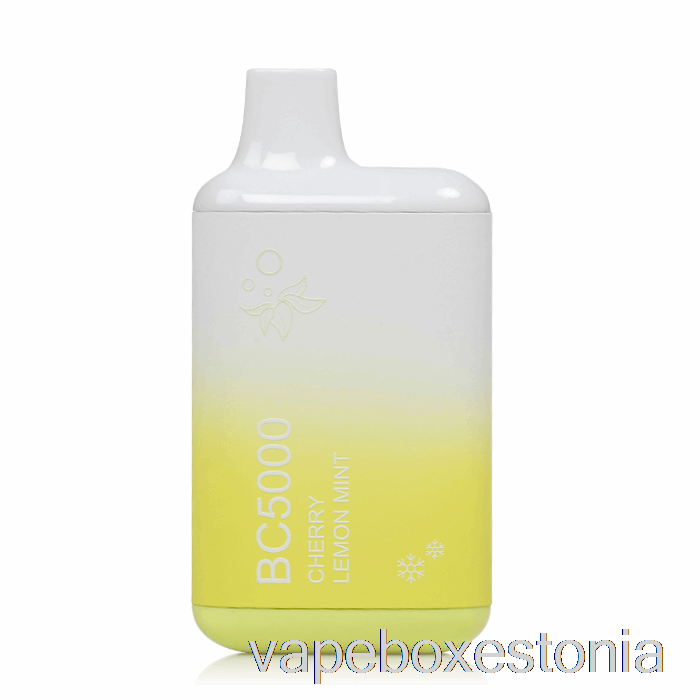 Vape Box Estonia Bc5000 ühekordne Cherry Lemon Piparmünt
